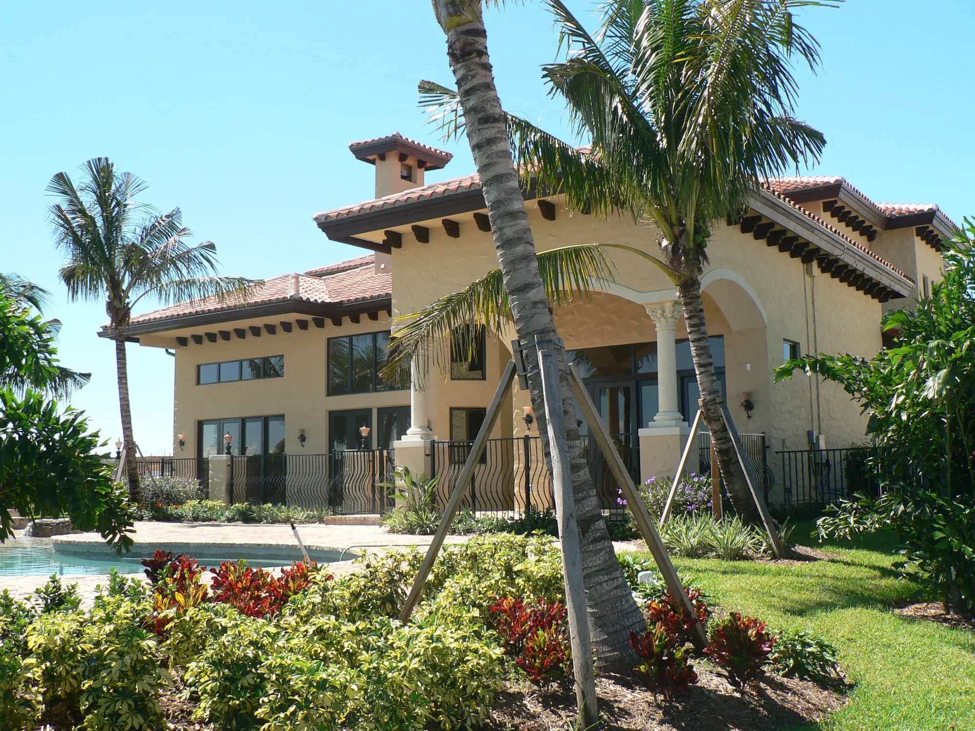 Rear elevation with pool, palms and covered terraces